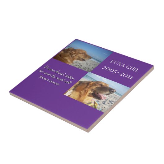 In Memory, Love Remains タイル (側面)