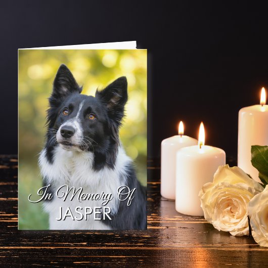 In Memory Of Pet Memorial Sympathy Custom Photo カード