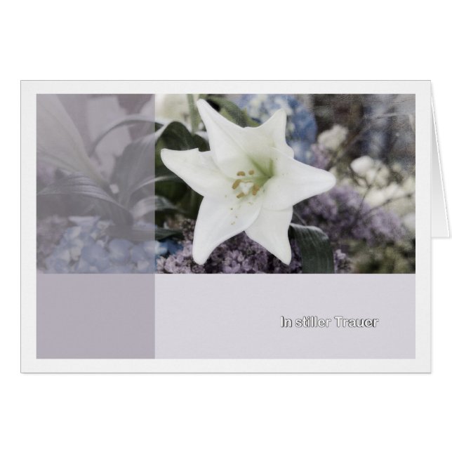 In stiller Trauer (正面横)