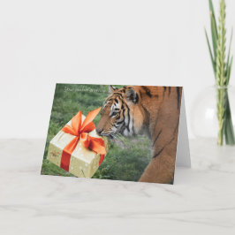 In-Syncクリスマスカードとホリデーカード サンキューカード