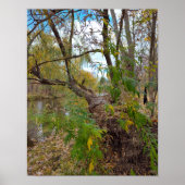 In the Absence of Music ポスター (正面)