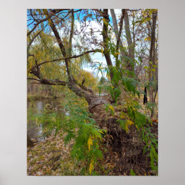 In the Absence of Music ポスター