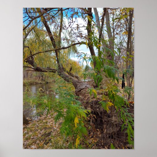 In the Absence of Music ポスター (正面)