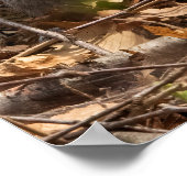 In the Brush ポスター (角)