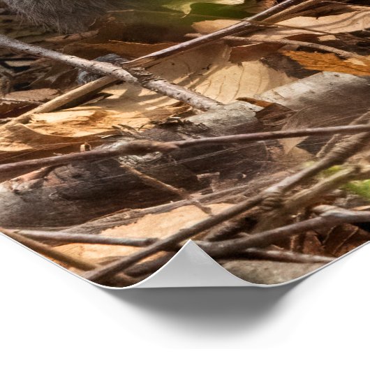 In the Brush ポスター (角)