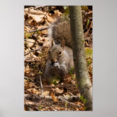 In the Brush ポスター (正面)