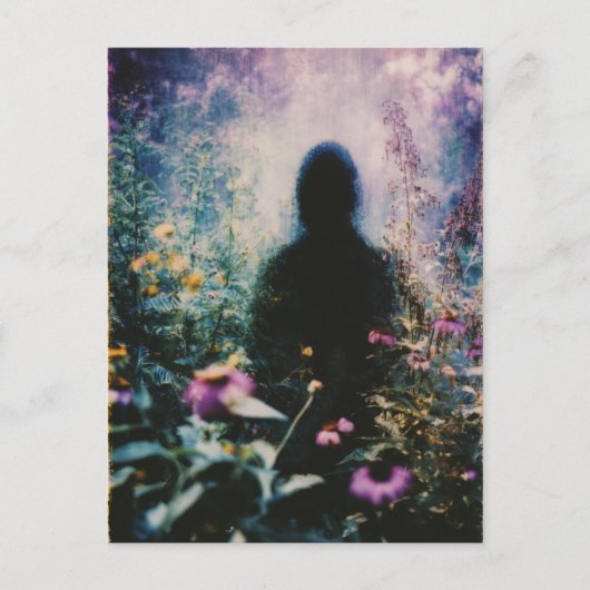 In the Garden抽象芸術 ポストカード (正面)