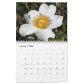 In the Garden カレンダー (1月 2026)