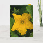 In the Garden カード (正面)