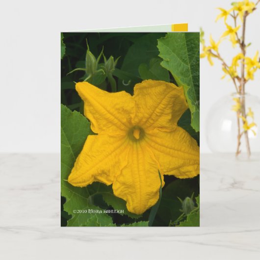 In the Garden カード (黄色い花)
