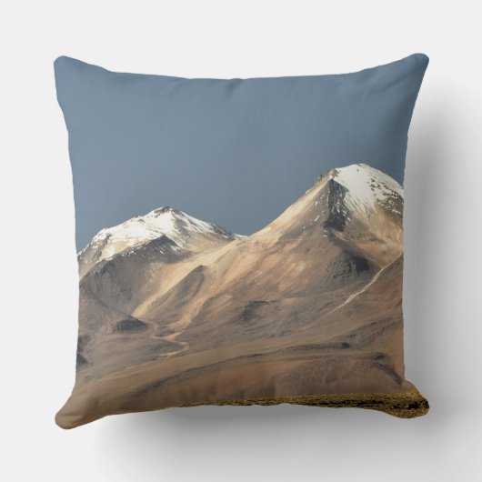 In the Heart of the Saline Immensity クッション (裏面)