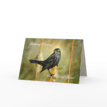 In the Limelight誕生日Greeting Card