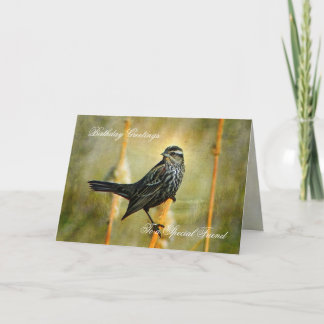 In the Limelight誕生日Greeting Card カード