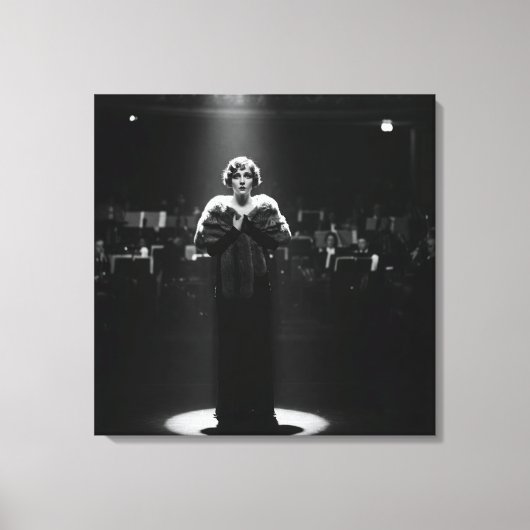 In the Spotlight, by Natasha Us   キャンバスプリント (正面)