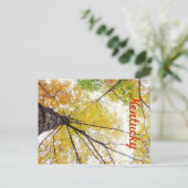 In the Trees by JerseyFawn ポストカード (スタンド正面)