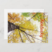 In the Trees by JerseyFawn ポストカード (正面/裏面)