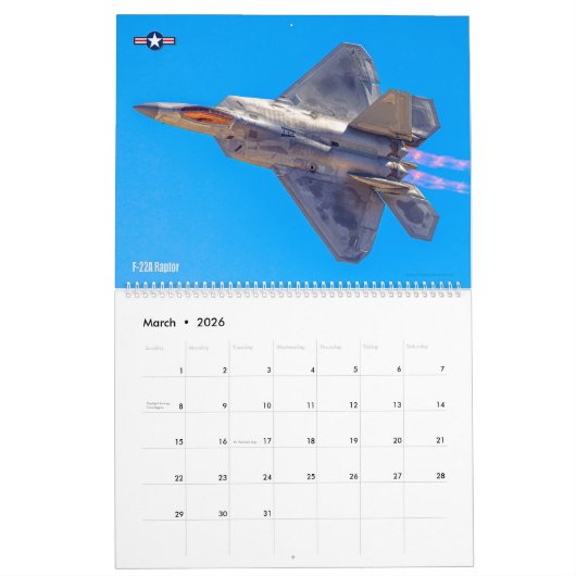 IN THRUST WE TRUST! - US Military Combat Aircraft カレンダー (3月 2026)