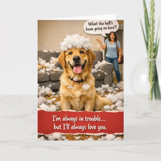 In trouble, golden retriever greeting card カード (正面)