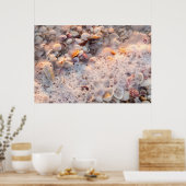 Incoming Surf And Seashells On Sanibel Island ポスター (キッチン)