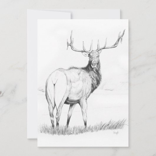 Indecision - 5インチx 7インチ招待状 招待状 (正面)