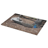 Indian Blue and White Pheasants Cutting Board カッティングボード (角)
