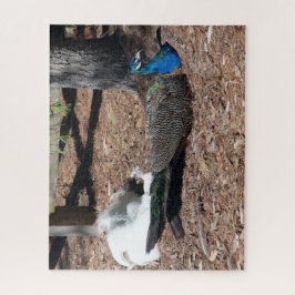 Indian Blue and White Pheasants jigsaw Puzzle ジグソーパズル