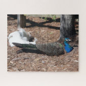 Indian Blue and White Pheasants jigsaw Puzzle ジグソーパズル (横)
