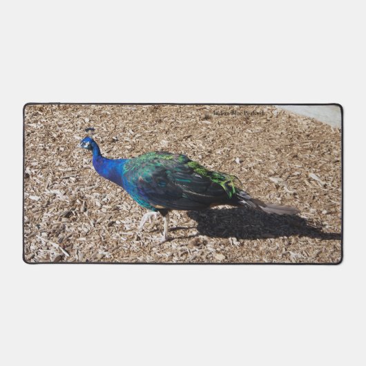 Indian Blue Peafowl deskmat デスクマット (正面)