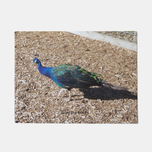Indian Blue Peafowl door mat ドアマット (正面)