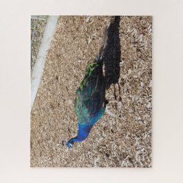Indian Blue Peafowl jigsaw puzzle ジグソーパズル