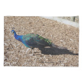 Indian Blue Peafowl pillowcase 枕カバー (裏面)