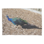 Indian Blue Peafowl pillowcase 枕カバー (正面)