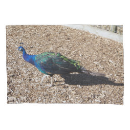 Indian Blue Peafowl pillowcase 枕カバー