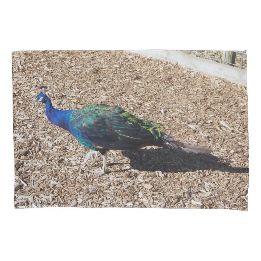 Indian Blue Peafowl pillowcase 枕カバー (正面)