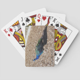  Indian Blue Peafowl playing cards トランプ