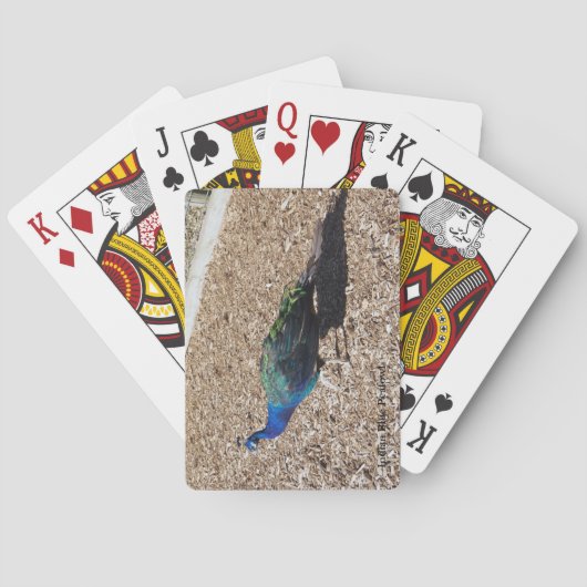  Indian Blue Peafowl playing cards トランプ (裏面)