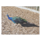 Indian Blue Peafowl tablecloth テーブルクロス (正面(横))