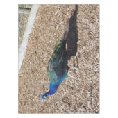 Indian Blue Peafowl tablecloth テーブルクロス (正面)