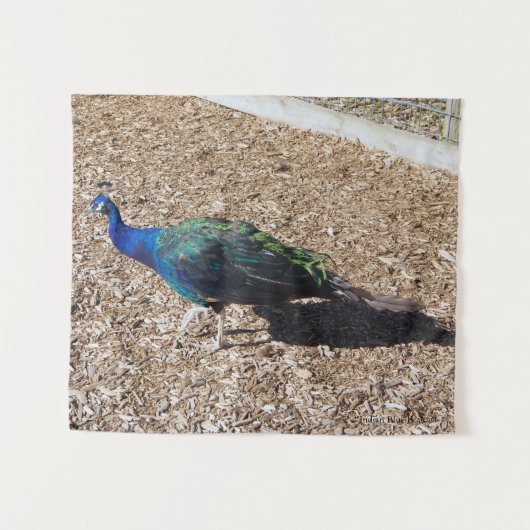 Indian Blue Peafowl tapestry タペストリー (正面(横))