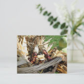Indian Corn In Basket Nature Personalized ポストカード (スタンド正面)