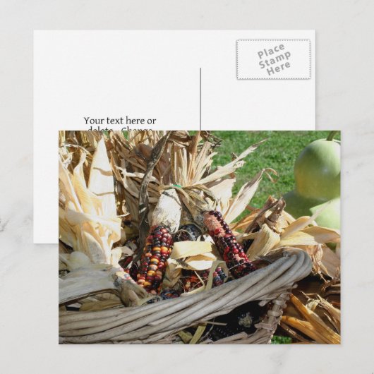 Indian Corn In Basket Nature Personalized ポストカード (正面/裏面)