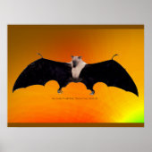 Indian Fruit Bat ポスター (正面)