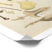 Indian Musical Instruments, plate 23 from 'Orienta ポスター (角)