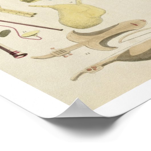 Indian Musical Instruments, plate 23 from 'Orienta ポスター (角)