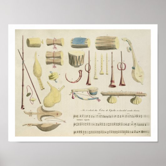 Indian Musical Instruments, plate 23 from 'Orienta ポスター (正面)