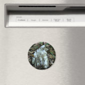 Indian Pipe Wildflowers Nature  マグネット (インサイチュ (食洗機))