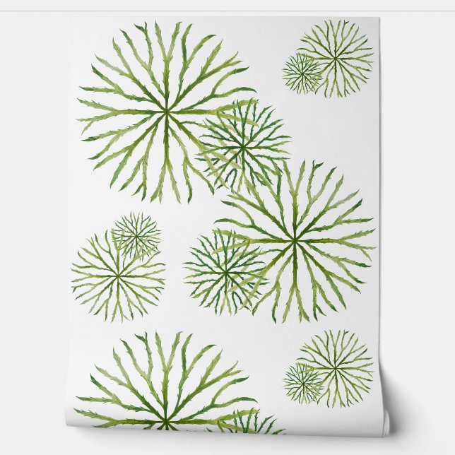 Indian Summer on a  壁紙 (ほどく)