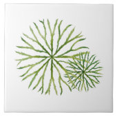 Indian Summer on a Ceramic Tile (W) タイル (正面)