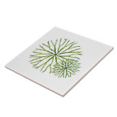 Indian Summer on a Ceramic Tile (W) タイル (側面)