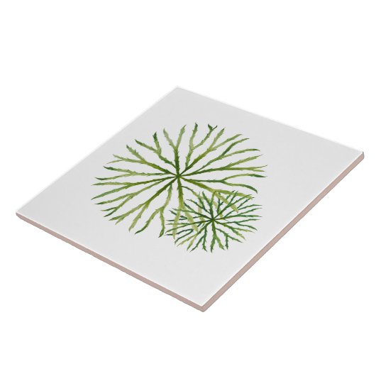 Indian Summer on a Ceramic Tile (W) タイル (側面)